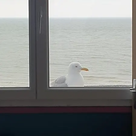 O'2 Cailloux Appartement